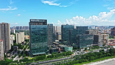 Guangzhou Homfel Ltd. 제조업체의 생산 라인